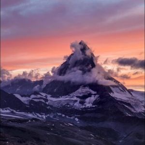 Meet your Posher, Cheyenne